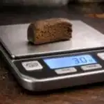 Gushers Hash 3G