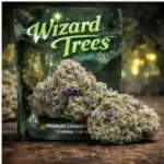 Wizard Trees 3G